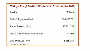 Türkiye Enerji Sektörü Görünümü - 2020