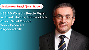 Türkiye yenilenebilir enerjide 2024'ten önce Avrupa'da ilk 5'e girecek!