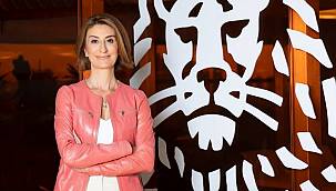 'Uluslararası Yetenek Programı' başvuruları başladı -  ING Türkiye...