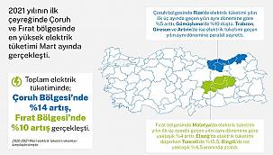 2021 yılının ilk çeyreğindeki elektrik tüketim oranlarını açıkladı!