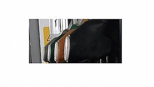 Benzin ve Motorin satışları: Önce REKOR arttı - Sonra REKOR düştü