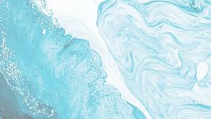 YAYINLANDI - Konu 'Yeşil Mutabakat Eylem Planı'