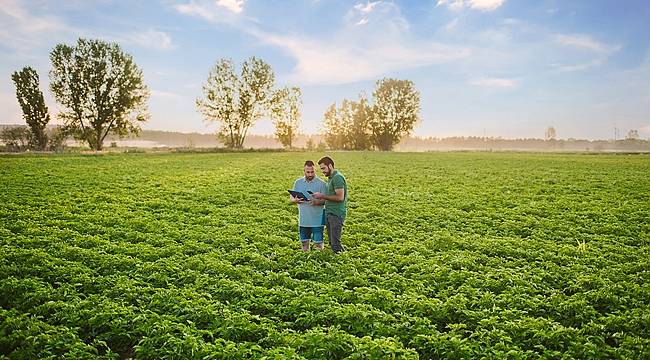 &#039;Damla sulama ve mini yağmurlama ile tarımda yaklaşık 13 milyon ton su tasarrufu sağladık