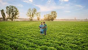 'Damla sulama ve mini yağmurlama ile tarımda yaklaşık 13 milyon ton su tasarrufu sağladık