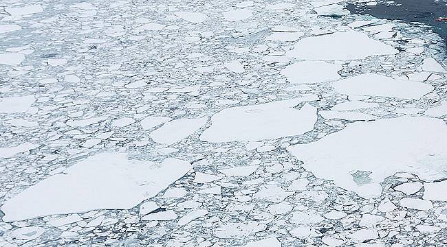 Dünya Günü ne demek?