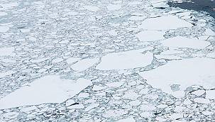 Dünya Günü ne demek?