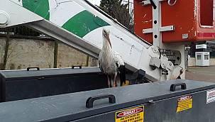 Elektrik arızasına giden ekipler donmak üzere olan LEYLEĞİ kurtardı!