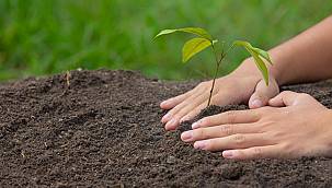 Kullanıcısı için AĞAÇ dikiyor!