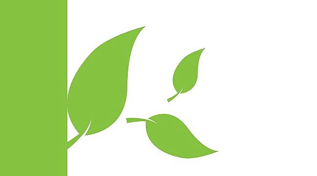 Kyoto Protokolü ne demek?