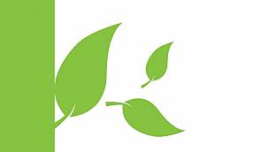 Kyoto Protokolü ne demek?