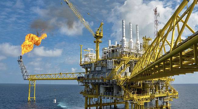 PETFORM: Yayınlandı...