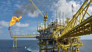 PETFORM: Yayınlandı...