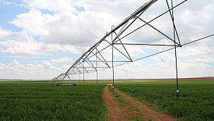 Dicle Elektrik 'Verimli Tarım Hikayeleri' - Şanlıurfalı çiftçiden...