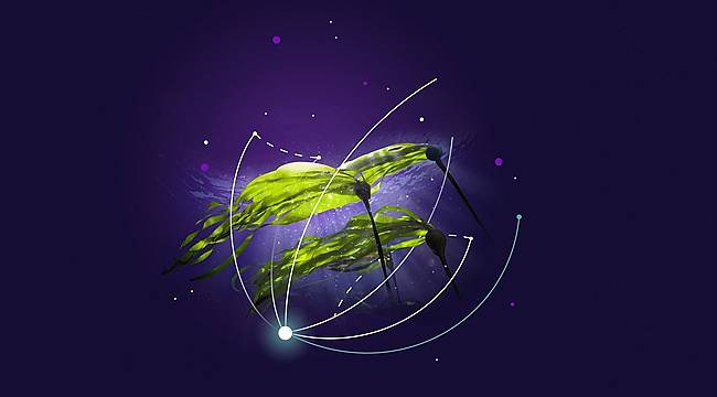 Siemens Energy’nin Karbon Emisyonu Azaltma Çalışmalarına Bilimsel Onay!