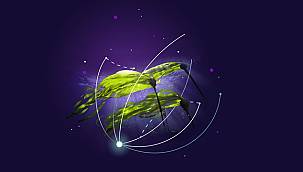 Siemens Energy’nin Karbon Emisyonu Azaltma Çalışmalarına Bilimsel Onay!