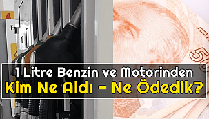 1 litre benzin - motorinden kim - ne aldı ve ne ödedik?