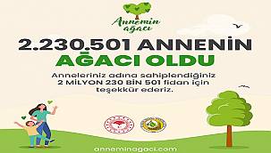 2 Milyon Annenin Ağacı Oldu - OGM...