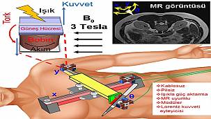 Boğaziçi Üniversitesi ELEKTRİK - ELEKTRONİK Mühendisliği bölümünden Prof. Dr. Mutlu geliştirdi!