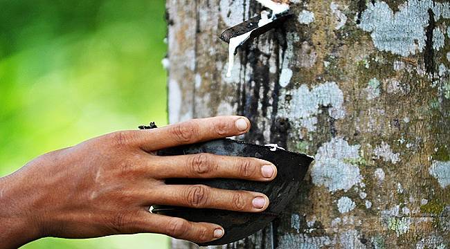 Doğal Kauçuktan üretiyor - P Zero Lastik BMW X5 şarj edilebilir hibrit modeli için...