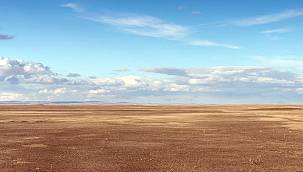 Dünya İklim Günü - TEMA Vakfı...