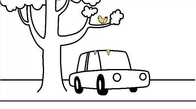 Hareketsiz kalan ARAÇ bakımı nasıl yapılır? - KUŞ pislikleri nasıl temizlenir? Tasarruf için 9 ALTIN kural!