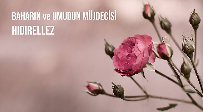 Hepimize umut olsun - TEMA Vakfı!