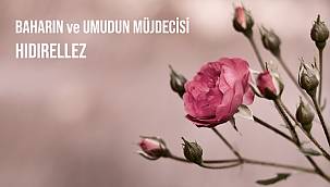 Hepimize umut olsun - TEMA Vakfı!