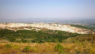 Maden Ocakları yeniden ağaçlandırılıyor!