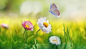 Ne güzel şeysin sen bahar - Aksa Doğalgaz!