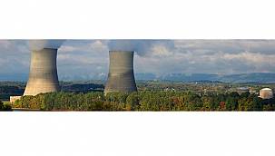 VVER-1000 reaktörleri için deneme amaçlı REMIX yakıt demeti üretmek üzere...