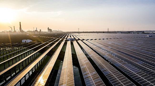 Schneider Electric:  Carbon Clean 200™ listesinde...