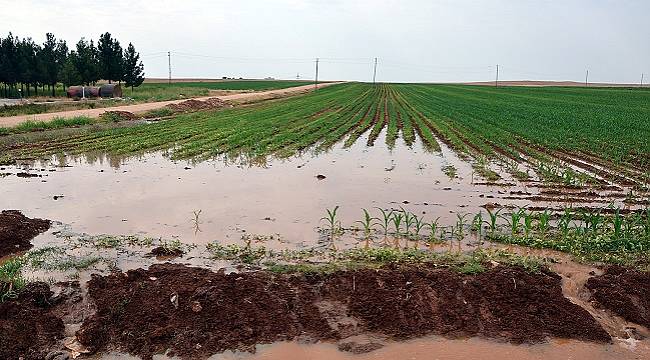 Tarımsal sulamada kullanılan ELEKTRİK yüzde 350 arttı - Kuraklık elektrik tüketimini artırıyor!