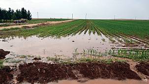 Tarımsal sulamada kullanılan ELEKTRİK yüzde 350 arttı - Kuraklık elektrik tüketimini artırıyor!