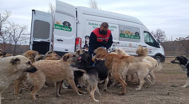 Tüpraş: Sokak Hayvanlarının Yiyecek İhtiyacı için...
