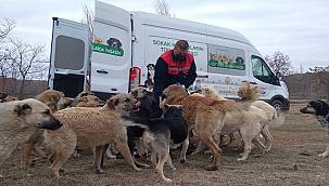 Tüpraş: Sokak Hayvanlarının Yiyecek İhtiyacı için...
