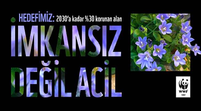 WWF Türkiye - Bugünden harekete geçersek birlikte başarabiliriz!