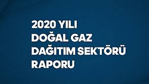 YAYINLANDI - 2020 Yılı Doğal Gaz Sektör Raporu!