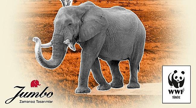 Bu önemli - Fil Evlat Edindim Projesi