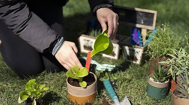 Büyü Bitki ve BEE ile Su Döngüsü Atölyesi