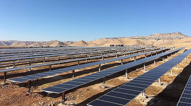 Consus Enerji - Halja arz için...