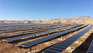 Consus Enerji - Halja arz için...