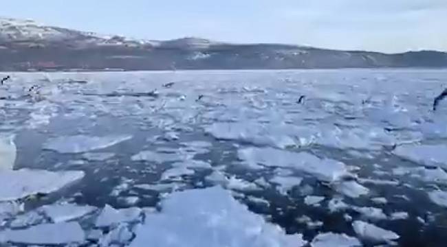 EÜD: Dünyamıza sahip çıkmak için bir başlangıç olması dileğiyle...&#039;