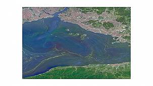 Marmara Denizi MÜSİLAJ sorunu masaya yatırılıyor!