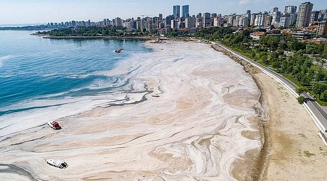 Müsilaja neden olan atıklar arıları da etkileyecek!