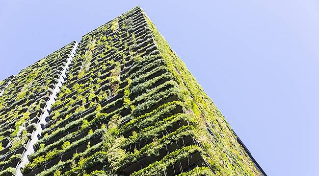 Schneider Electric ev ve bina portföyüne yeni ‘Matter’ standardını entegre edecek