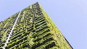 Schneider Electric ev ve bina portföyüne yeni ‘Matter’ standardını entegre edecek