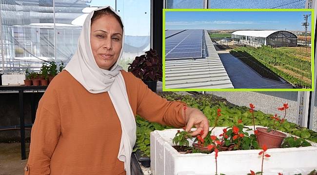 Diyarbakırlı Ev Hanımı - Kurduğu süs bitkileri ve çiçek serasının ENERJİ ihtiyacını GÜNEŞ&#039;ten karşılıyor!
