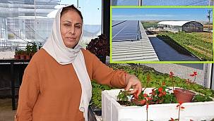 Diyarbakırlı Ev Hanımı - Kurduğu süs bitkileri ve çiçek serasının ENERJİ ihtiyacını GÜNEŞ'ten karşılıyor!