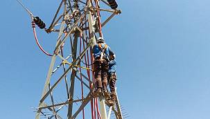 Göçmen kuşlar artık güvende