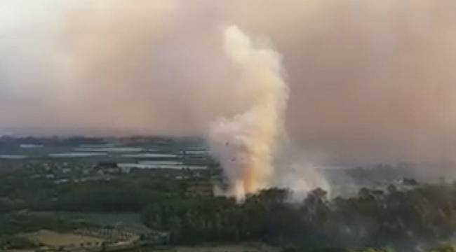 OGM son durumu paylaştı - 2 günde 58 yangın...